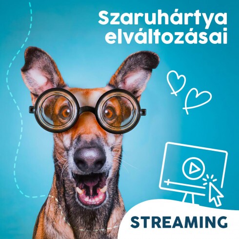 Webinár előfizetés 3.  Dobos András – Szaruhártya elváltozásai