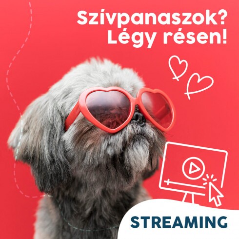 Webinár előfizetés 7.  Várlaki Nóra/Vásárhelyi Balázs - Szívpanaszok? Légy résen!
