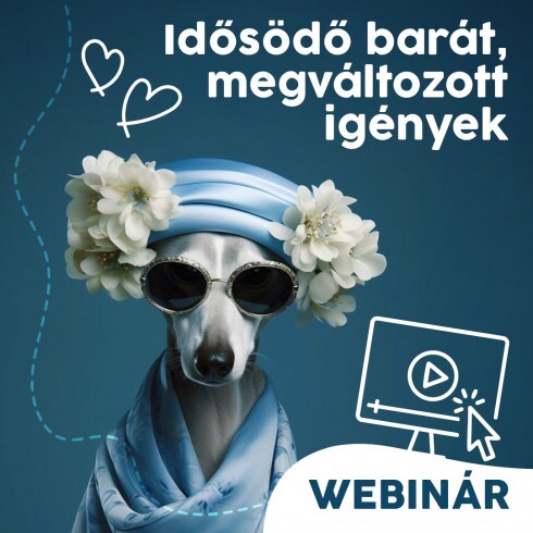 Webinár előfizetés 6.  Várlaki Nóra/Vásárhelyi Balázs - Idősödő barát, megváltozott igények