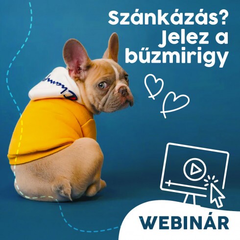 Webinár előfizetés 5.  Paulina Anna – Szánkázás? Jelez a bűzmirigy