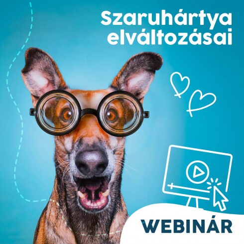 Webinár előfizetés 3.  Dobos András – Szaruhártya elváltozásai