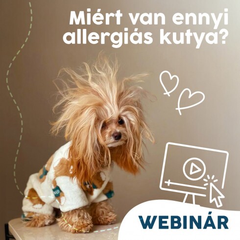 Webinár előfizetés 1. Koller István –  Miért van ennyi allergiás kutya?