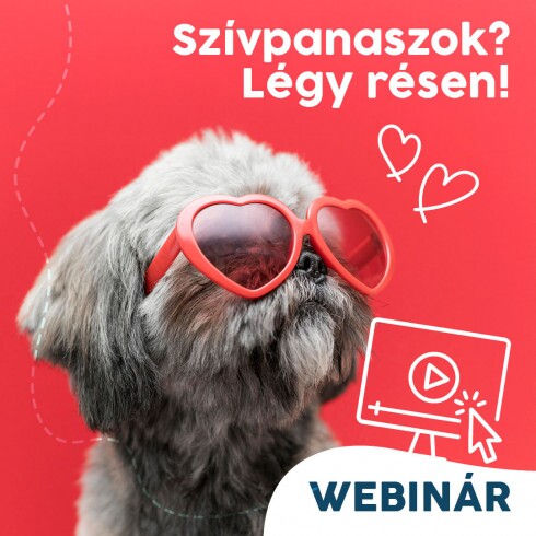 Webinár előfizetés 7.  Várlaki Nóra/Vásárhelyi Balázs - Szívpanaszok? Légy résen!