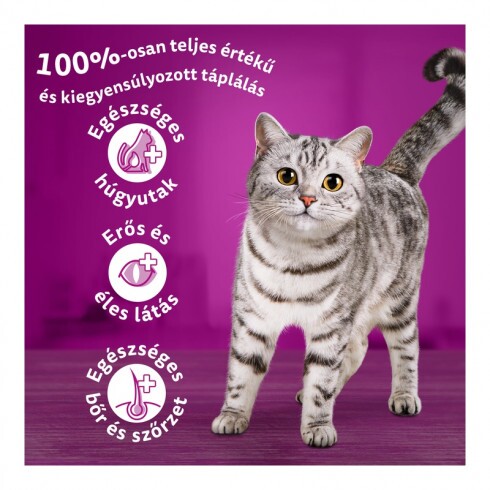 Whiskas száraz macskaeledel tonhallal 1,4kg