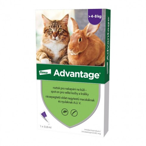 Advantage rácsepegteto oldat nagytestu macskáknak és nyulaknak AUV 4 x 0,8 ml