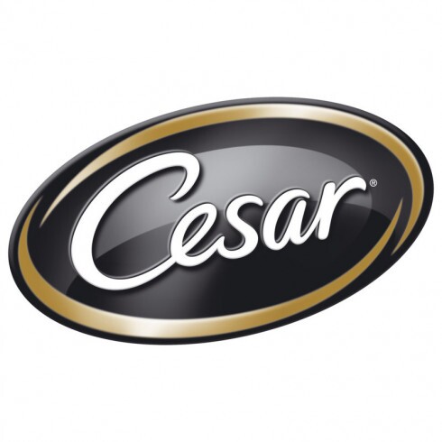 Cesar alutasak 4 pack válogatás mártásban Multipack 4x100g