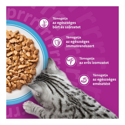 Whiskas alutasak Multipack halas válogatás aszpikban 12x85g