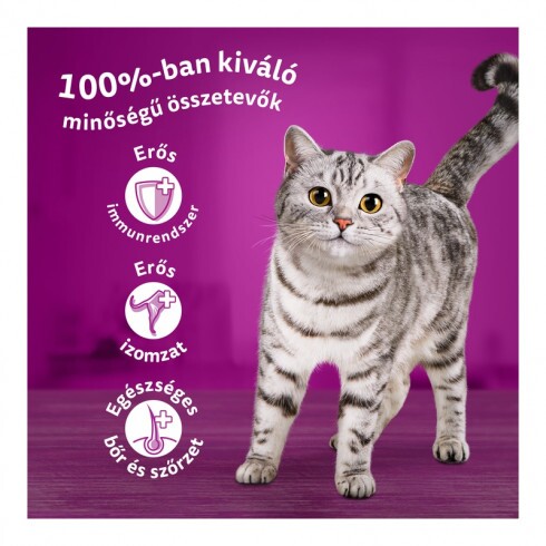 Whiskas alutasak Multipack halas válogatás aszpikban 12x85g