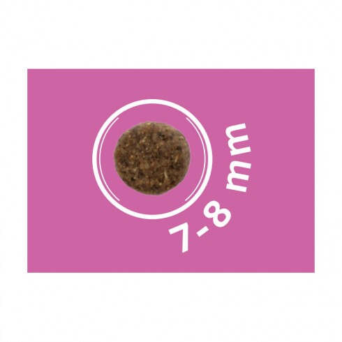 Dog Vital Hipoallergén Adult Mini Lamb,apple&blueberry 12+2kg grátisz