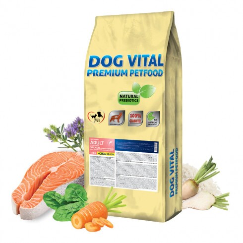 Dog Vital Hipoallergén Adult Mini Salmon,carrot&spinach 12+2kg grátisz