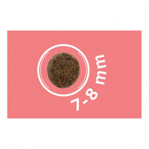 Dog Vital Hipoallergén Adult Mini Salmon,carrot&spinach 12+2kg grátisz