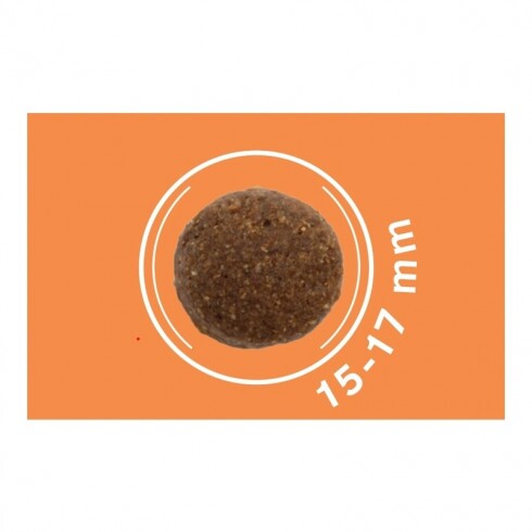 Dog Vital Hipoallergén Adult Medium&Maxi Lamb,spinach&pumpkin 12+2kg grátisz