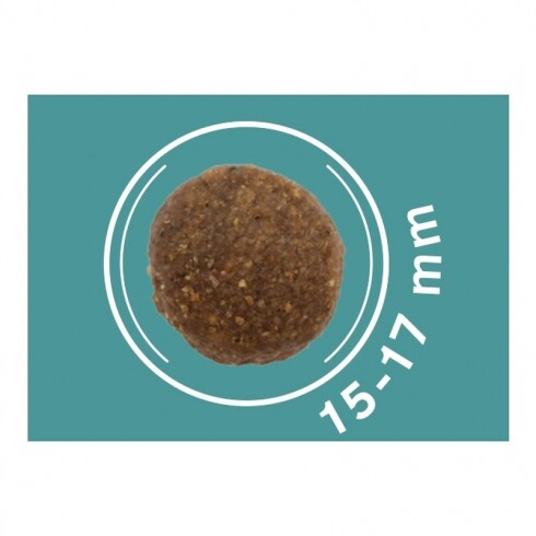 Dog Vital Hipoallergén Adult Medium&Maxi Salmon,carrot&spinach 12+2kg grátisz