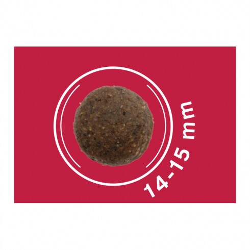 Dog Vital Hipoallergén Top Energy Adult Medium&Maxi Pork, blueberry&spinach 12+2kg grátisz