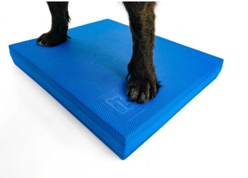 Paw Prosper FitPaws Balance stabil szivacs