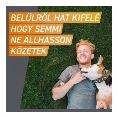 Frontpro 68 mg rágótabletta 10-25 kg 3X