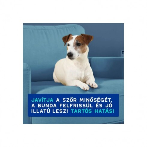 Douxo Spa Szagsemlegesítő sampon kutyáknak  250ml