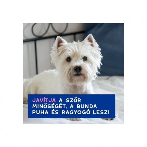 Douxo Spa Viszketéscsillapító sampon kutyáknak   250ml