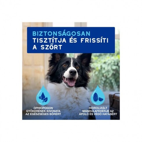 Douxo Spa Lemosást nem igénylő frissítő hab kutyáknak 150ml