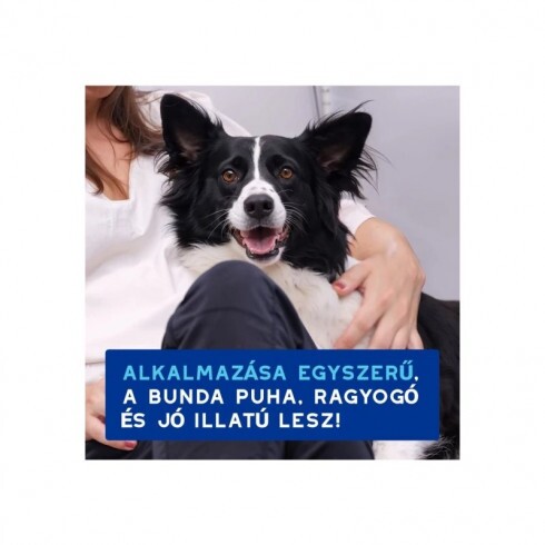 Douxo Spa Lemosást nem igénylő frissítő hab kutyáknak 150ml