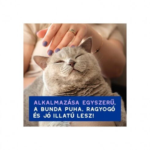 Douxo Spa Lemosást nem igénylő frissítő hab macskáknak 150ml