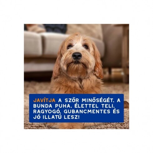 Douxo Spa Gubancoldó spray kutyáknak  295ml