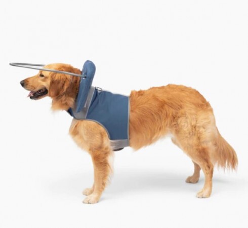 Paw Prosper Muffin s Halo vak kutyáknak - kék - 5-ös méret