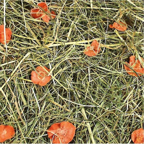 JR Farm Széna sárgarépás 1,5kg