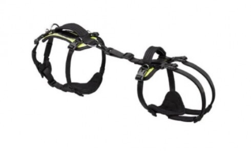 Paw Prosper Kis méretű hám