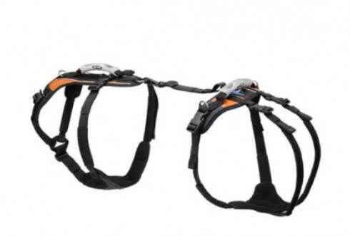 Paw Prosper Közepes méretű hám