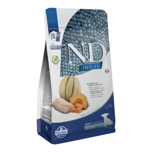 N&D Ocean Dog tőkehal,sütőtök & sárgadinnye Puppy mini 800g