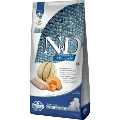 N&D Ocean Dog tőkehal,sütőtök & sárgadinnye Puppy medium/maxi 12kg