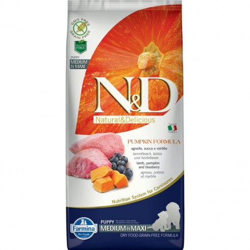 N&D Dog Grain Free bárány & áfonya sütőtökkel puppy medium/maxi 2x12kg