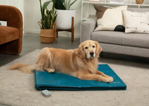 Paw Prosper Bio-Pulse kutya PEMF vinil terápiás rendszer