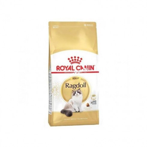 Royal Canin Ragdoll Adult 400g-Ragdoll felnőtt macska száraz táp