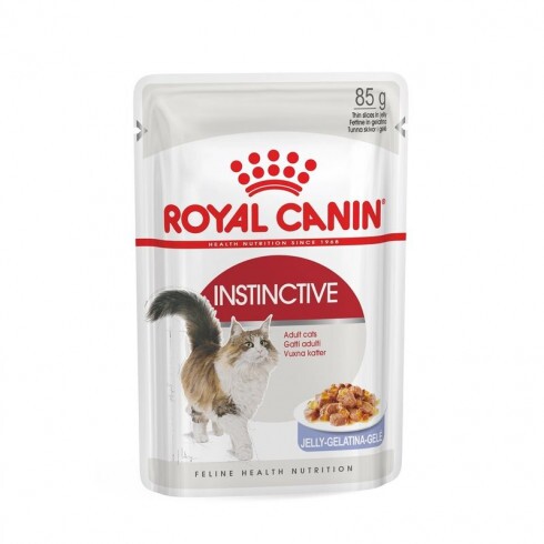 Royal Canin Instinctive Jelly 12x85g - felnőtt macska zselés nedves táp