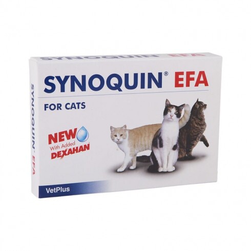 Synoquin Cat kapszula 30x