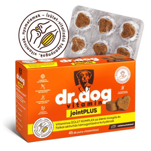 Dr. Dog Vitamin jointPLUS izület komplex kutyáknak- 45db vitaminfalat
