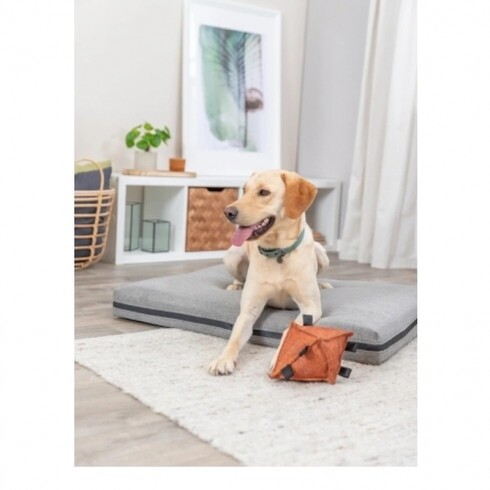 Trixie Nyakörv Citystyle PVC M 35-42cm/20mm zsálya