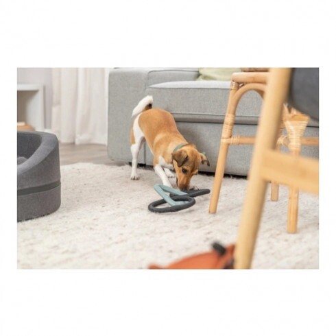 Trixie Nyakörv Citystyle PVC M 35-42cm/20mm zsálya