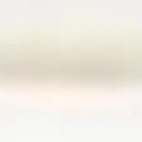 Trixie Kullancskiszedő Műanyag 11cm