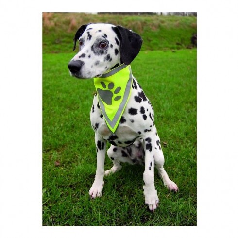 Trixie Biztonsági Kendő Kutyának L–xl 43–60cm