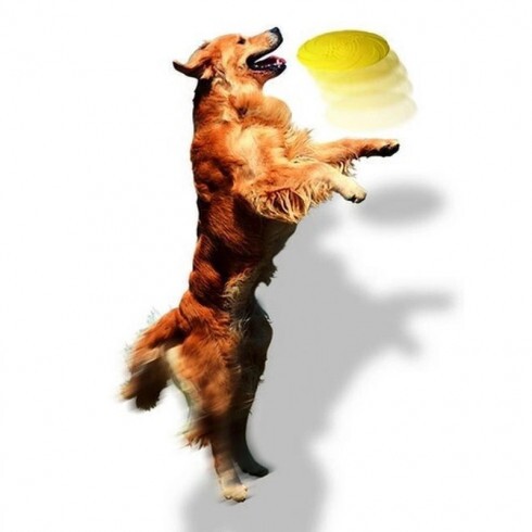 Trixie Játék Gumi Dog Disc Úszó