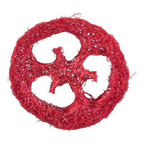 Trixie Jutalomfalat Tartó Lemez Rágcsálóknak, Luffából, 6cm, 2db