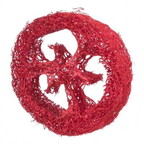 Trixie Jutalomfalat Tartó Lemez Rágcsálóknak, Luffából, 6cm, 2db