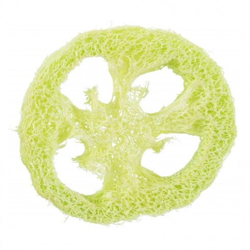 Trixie Jutalomfalat Tartó Lemez Rágcsálóknak, Luffából, 6cm, 2db