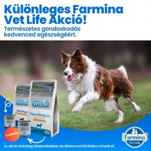 Vet Life Natural Diet Dog Hypo Fish&potato 2kg+1*300g konzerv csomag