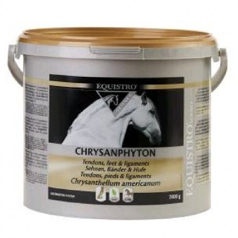 Equistro Chrysanphyton grl 2kg