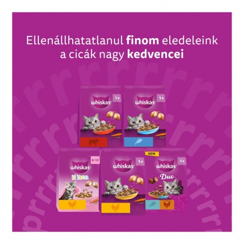 Whiskas Junior macskaeledel csirkével 14kg