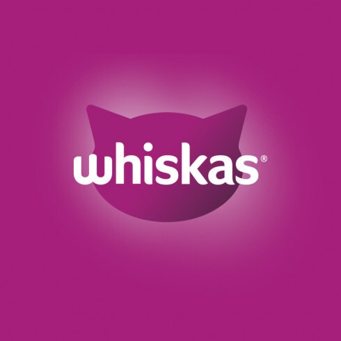 Whiskas Junior macskaeledel csirkével 14kg